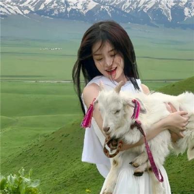 七号禁毒组